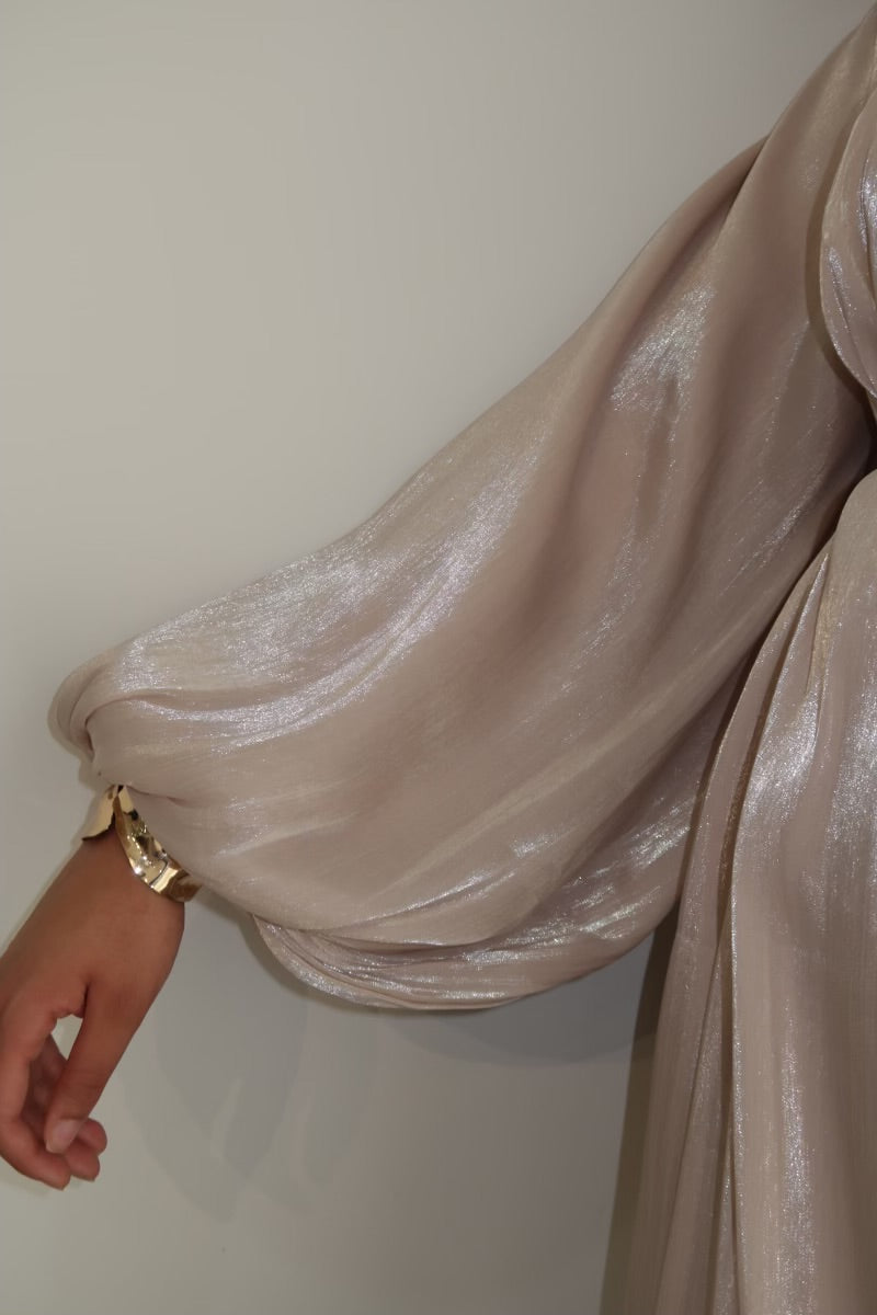 Elanoor Ladies Shimmer Maxi Dress